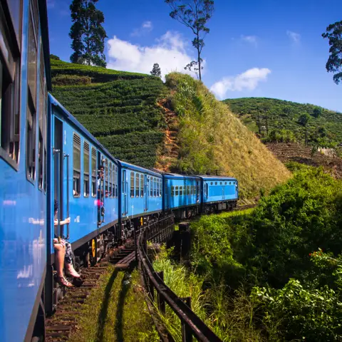 En af verdens smukkeste togrejser går gennem teplantagerne i Sri Lanka.